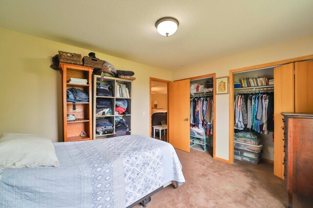 9095 Twins St, Brainerd, MN 56401 - bedroom featuring multiple closets and carpet