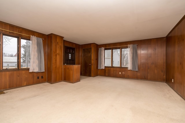 6950 270th St, New Prague, MN 56071 - unfurnished living room with wood walls, plenty of natural light, and light carpet