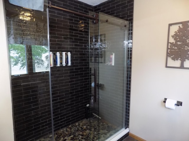 534 200th St, Cedar Twp, MN 56176 - full bathroom featuring a shower stall