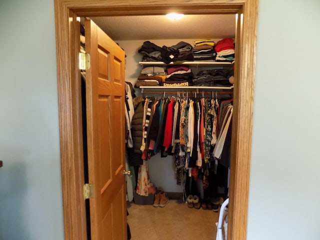 534 200th St, Cedar Twp, MN 56176 - walk in closet featuring carpet flooring