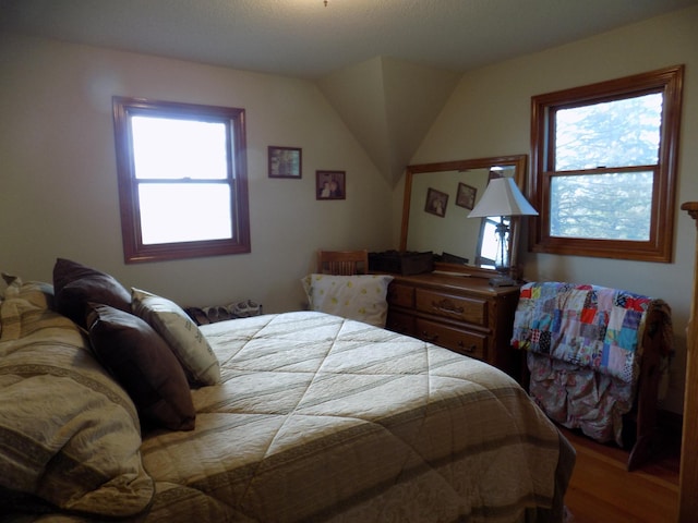 534 200th St, Cedar Twp, MN 56176 - bedroom with wood finished floors