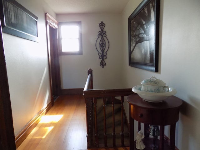 534 200th St, Cedar Twp, MN 56176 - hallway featuring light wood-type flooring and baseboards