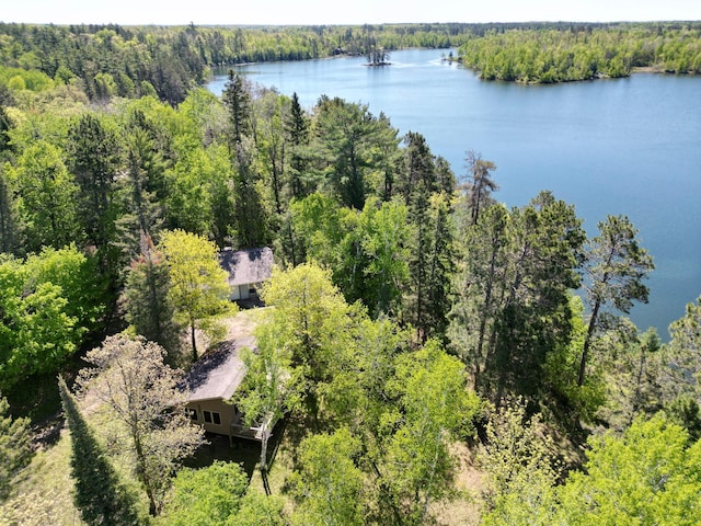 23403 Ivory Dr, Nevis, MN 56467 - photo 4