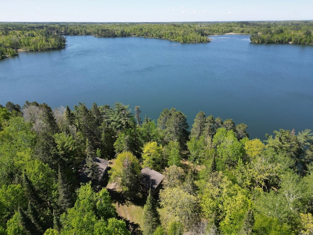 23403 Ivory Dr, Nevis, MN 56467 - photo 5