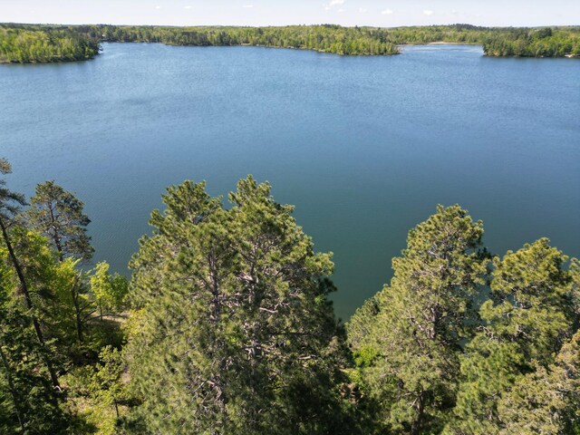 23403 Ivory Dr, Nevis, MN 56467 - photo 24
