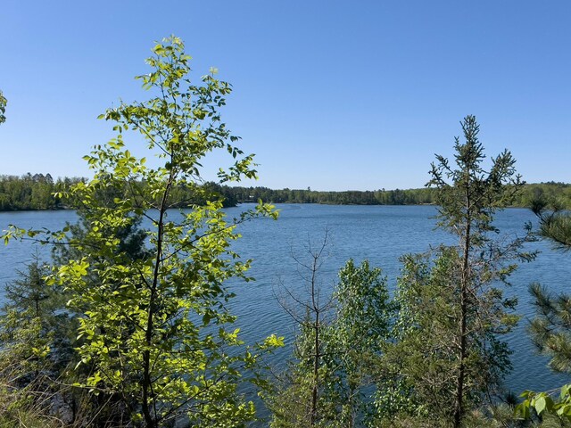 23403 Ivory Dr, Nevis, MN 56467 - photo 25