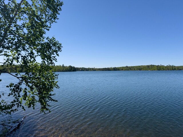 23403 Ivory Dr, Nevis, MN 56467 - photo 26