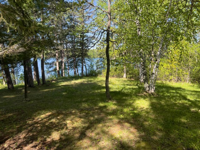 23403 Ivory Dr, Nevis, MN 56467 - photo 28