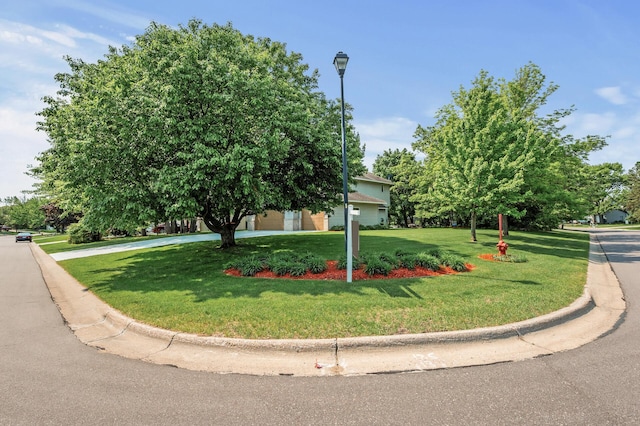 15144 Zilla St NW, Andover, MN 55304 - view of property hidden behind natural elements featuring a front yard