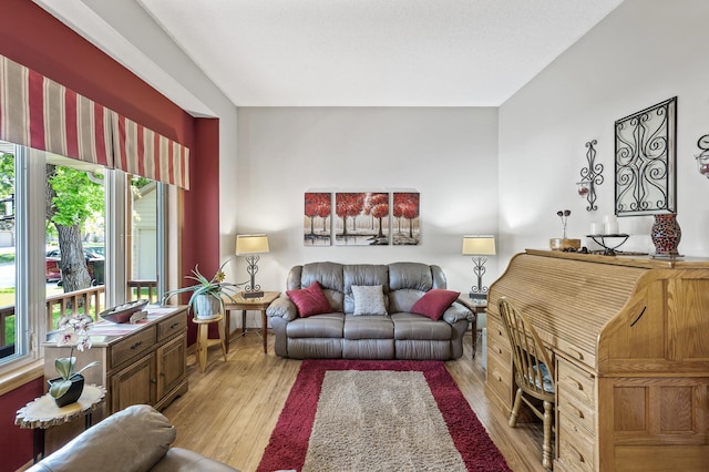 15144 Zilla St NW, Andover, MN 55304 - living area with light wood-type flooring