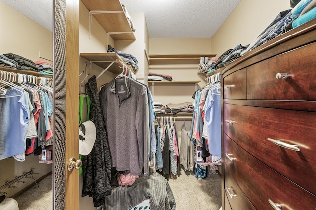 15144 Zilla St NW, Andover, MN 55304 - view of walk in closet