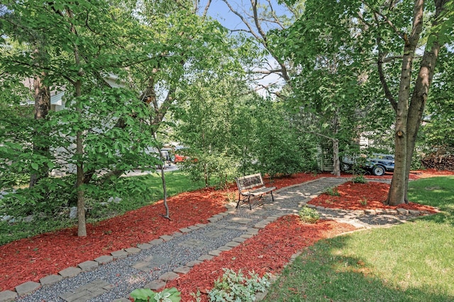 15144 Zilla St NW, Andover, MN 55304 - view of grassy yard