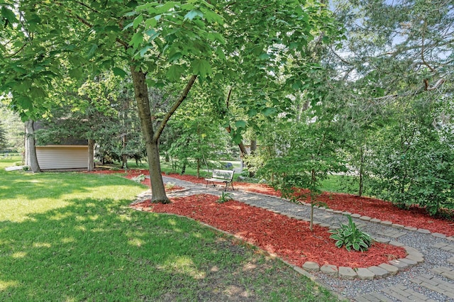 15144 Zilla St NW, Andover, MN 55304 - view of green lawn