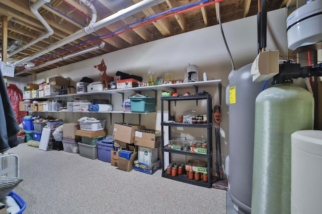 23369 330th St, Sebeka, MN 56477 - unfinished basement featuring a water softener system and carpet