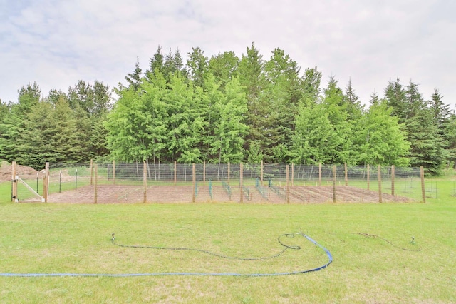 23369 330th St, Sebeka, MN 56477 - view of yard