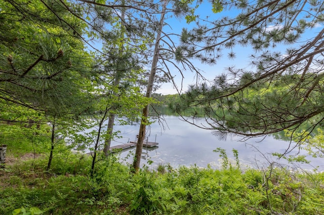 35988 Shore Dr, Crosslake, MN 56442 - photo 3