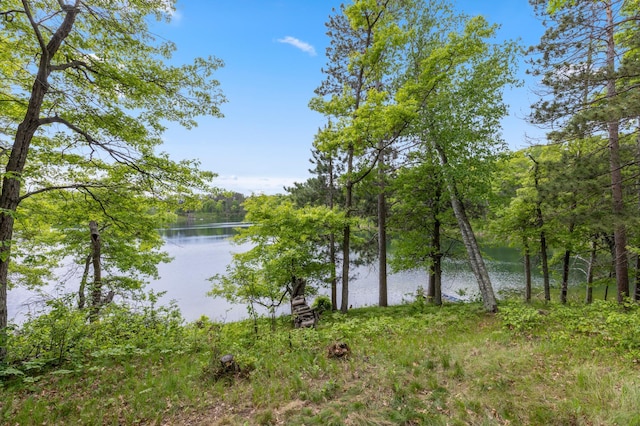 35988 Shore Dr, Crosslake, MN 56442 - photo 14
