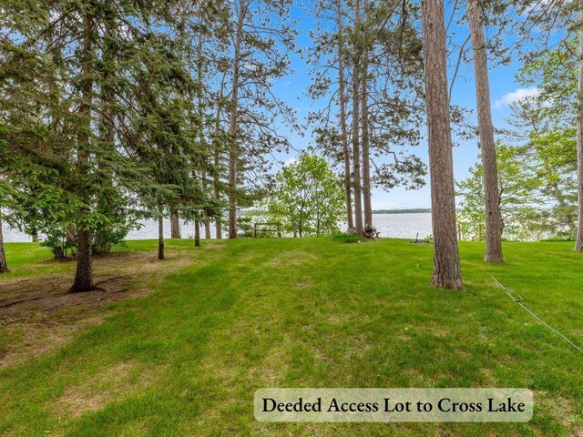 35988 Shore Dr, Crosslake, MN 56442 - photo 23