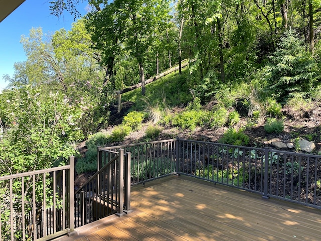 668 Hallstrom Dr, Red Wing, MN 55066 - view of wooden terrace