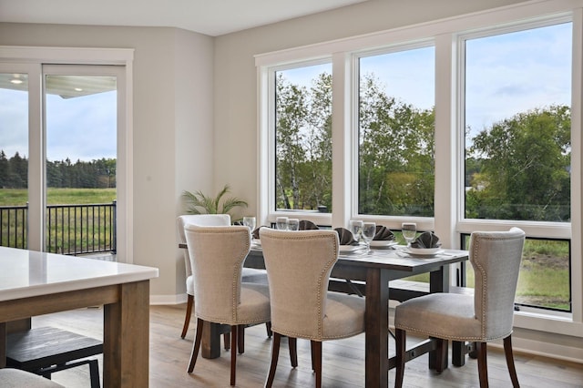 18022 Urbank St NE, Ham Lake, MN 55304 - dining area with light wood-style floors and baseboards