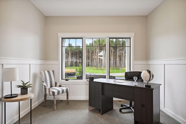 18022 Urbank St NE, Ham Lake, MN 55304 - home office featuring a decorative wall, a wainscoted wall, and carpet