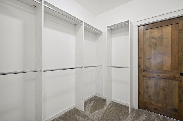 18022 Urbank St NE, Ham Lake, MN 55304 - walk in closet with carpet
