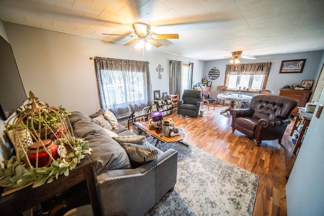 22445 650th Ave, Dexter Twp, MN 55926 - photo 3