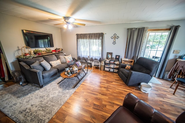 22445 650th Ave, Dexter Twp, MN 55926 - photo 4