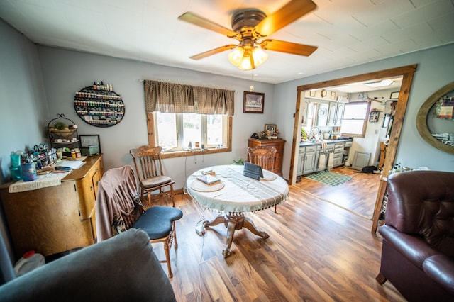 22445 650th Ave, Dexter Twp, MN 55926 - photo 5