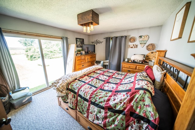 22445 650th Ave, Dexter Twp, MN 55926 - photo 9