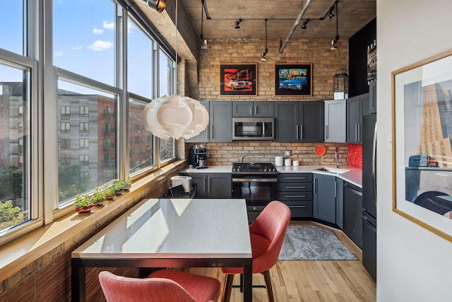 901 3rd St Unit 411, Minneapolis, MN 55401 - kitchen featuring appliances with stainless steel finishes, track lighting, gray cabinets, light wood finished floors, and plenty of natural light