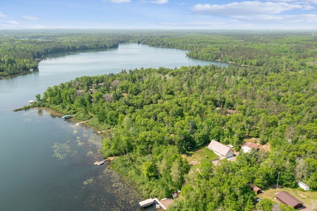 31064 Pine Ln, Swiss Twp, WI 54830 - photo 2