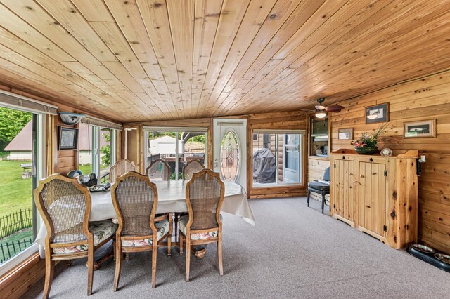 31064 Pine Ln, Swiss Twp, WI 54830 - photo 13