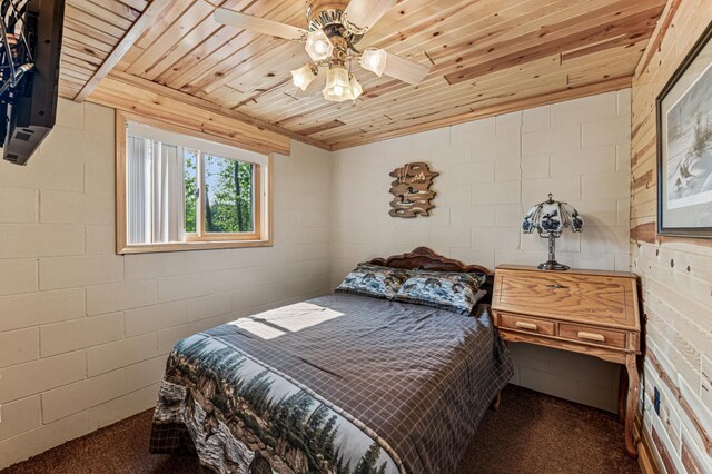 31064 Pine Ln, Swiss Twp, WI 54830 - photo 18