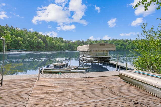 31064 Pine Ln, Swiss Twp, WI 54830 - photo 31