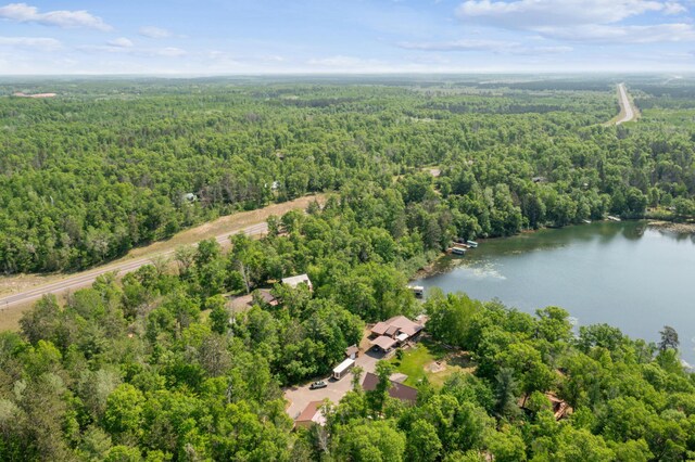 31064 Pine Ln, Swiss Twp, WI 54830 - photo 38
