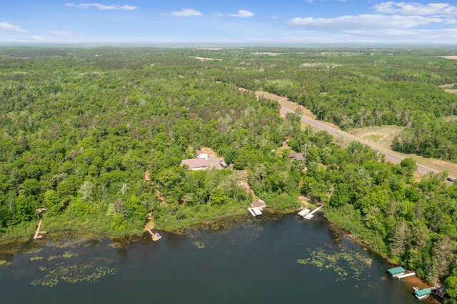 31064 Pine Ln, Swiss Twp, WI 54830 - photo 39