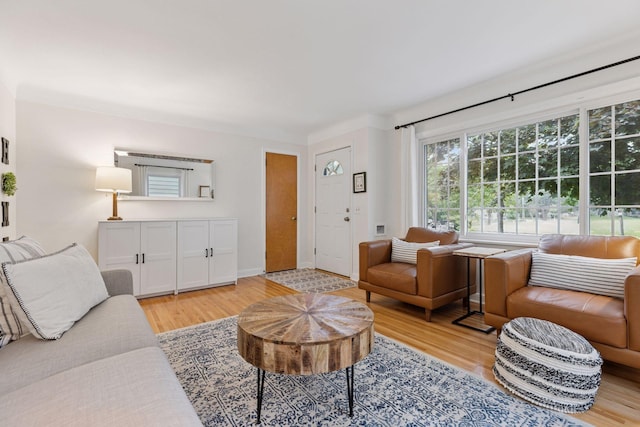 2904 Jersey Ave S, Saint Louis Park, MN 55426 - living room with light wood finished floors