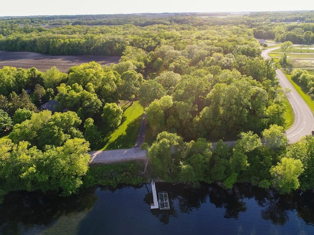 8048 Lake Ida Way NW, Alexandria, MN 56308 - aerial view of a large body of water and a forest