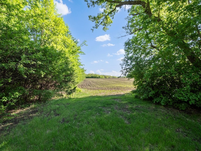 8048 Lake Ida Way NW, Alexandria, MN 56308 - view of yard featuring agricultural area and a rural view