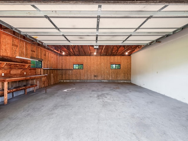 8048 Lake Ida Way NW, Alexandria, MN 56308 - garage featuring wooden walls