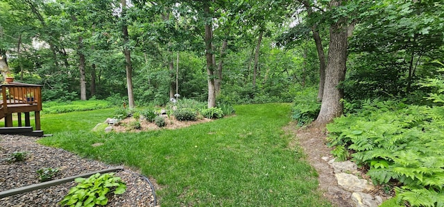 23265 Lawrence Way, Douglas Twp, MN 55033 - photo 37