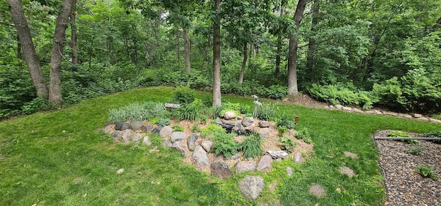 23265 Lawrence Way, Douglas Twp, MN 55033 - photo 39
