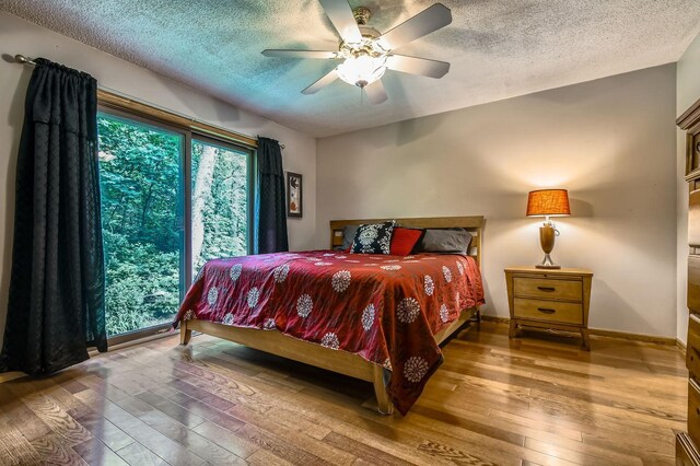 23265 Lawrence Way, Douglas Twp, MN 55033 - photo 12