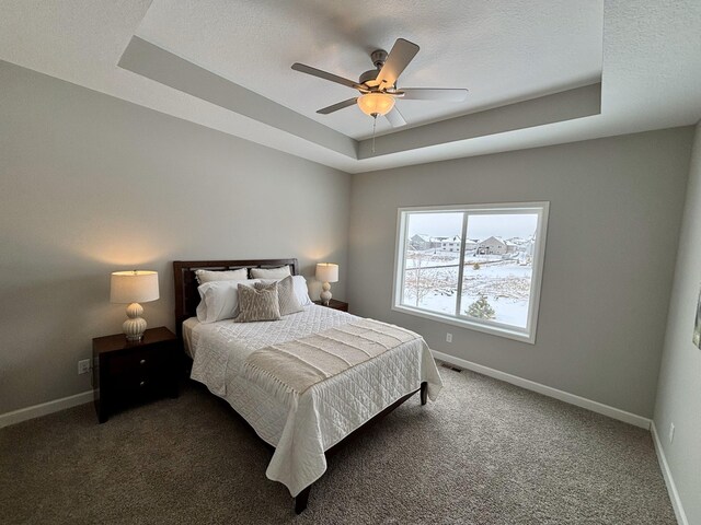 11798 5th St NE, Hanover, MN 55341 - bedroom featuring a raised ceiling, baseboards, and carpet
