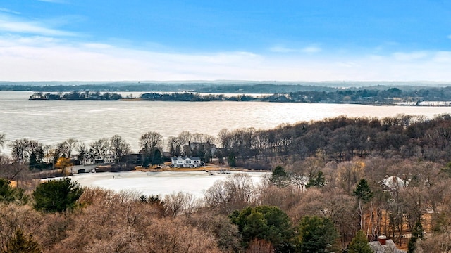 445 Bovey Rd, Wayzata, MN 55391 - drone / aerial view of a large body of water