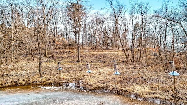 445 Bovey Rd, Wayzata, MN 55391 - view of yard
