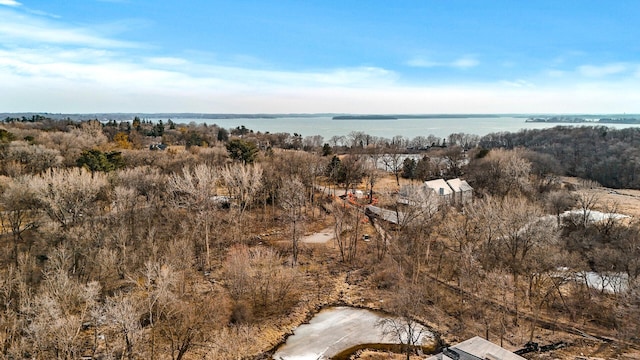 445 Bovey Rd, Wayzata, MN 55391 - drone / aerial view of a large body of water