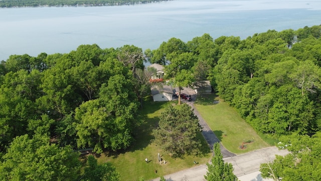 23759 Clarissa Haven Dr, Girard Twp, MN 56551 - drone / aerial view of a large body of water and a forest
