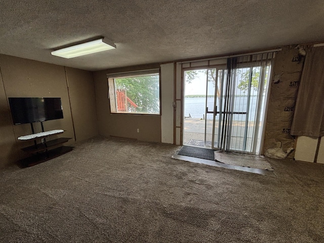 23759 Clarissa Haven Dr, Girard Twp, MN 56551 - unfurnished living room with a textured ceiling, healthy amount of natural light, carpet flooring, and a water view